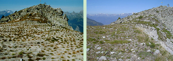 Ansicht des Dent de Nendaz (2480 m ü. M.) mit Gipfelkreuz. Die Flächen in Gipfelnähe sind starken Winden ausgesetzt (Winderosion). Die Implantierung hat sich auch unter solchen Bedingungen bewährt. Links unmittelbar nach der Implantierung, rechts 4 Ve